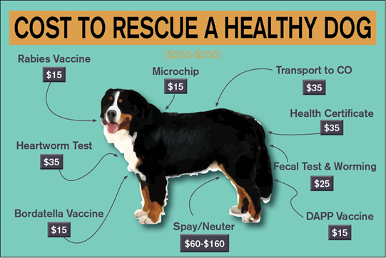 how much is it to adopt a rescue dog