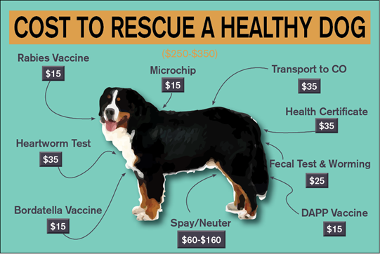 cost to rescue dog 
