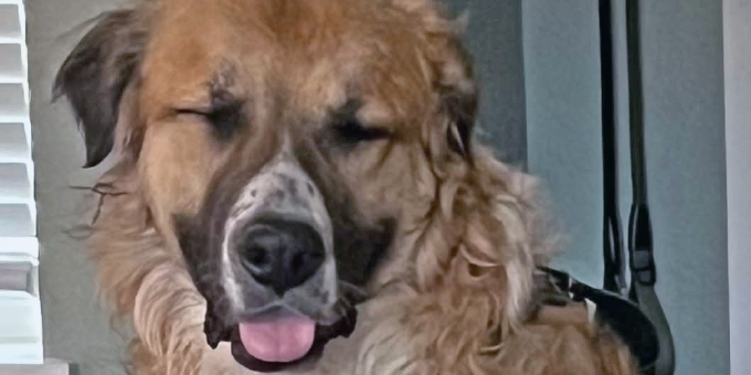 2025_MPR_CoGivesDay_680x340_joe