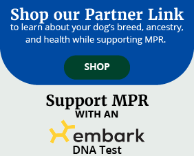 img_282x227_embark-DNA-discount