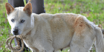 Bailey’s Success Story